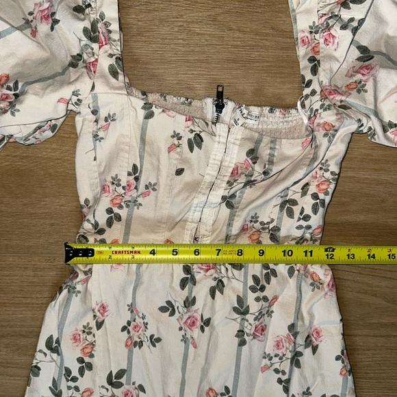 For Love and Lemons Dress | Rose Floral Striped Linen Blend Dress | Small - Picture 8 of 11